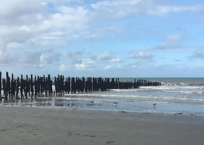 Вилла Les Bleuets *