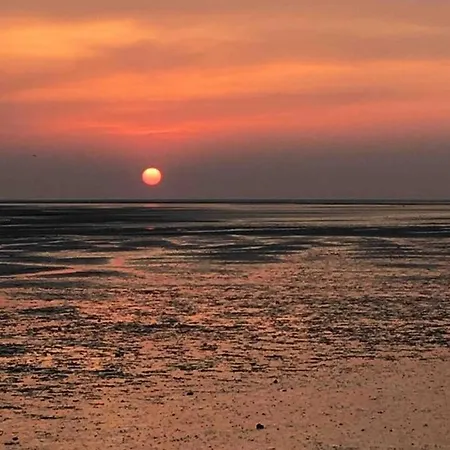 Les Bleuets * Rue (Somme)